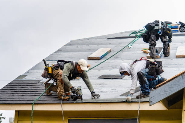 Professional Gutter Installation technician working in Plattsburg, MO